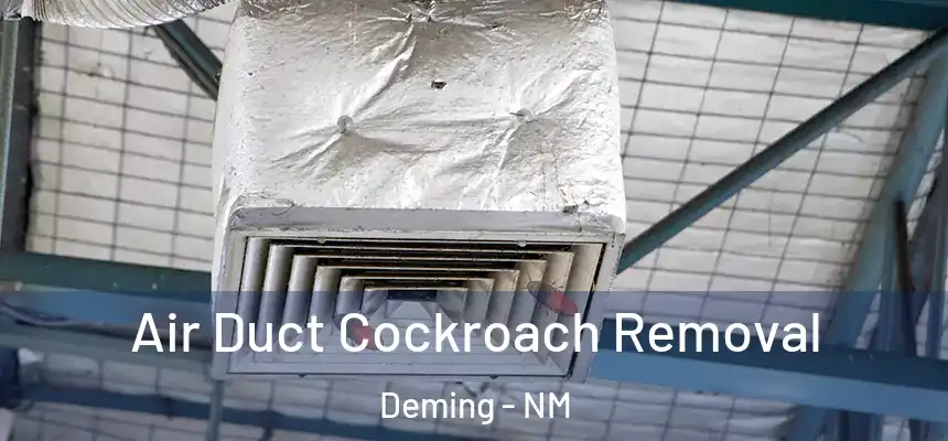 Air Duct Cockroach Removal Deming - NM