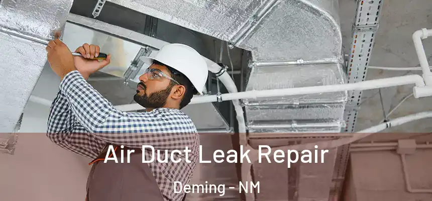  Air Duct Leak Repair Deming - NM