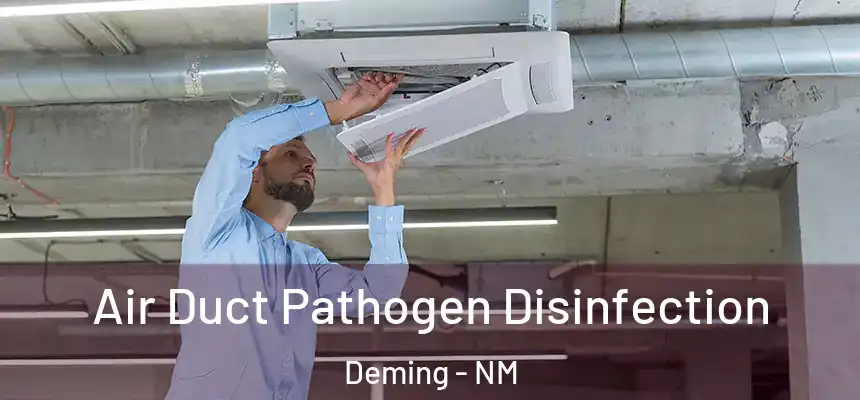  Air Duct Pathogen Disinfection Deming - NM