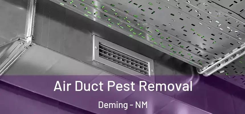  Air Duct Pest Removal Deming - NM