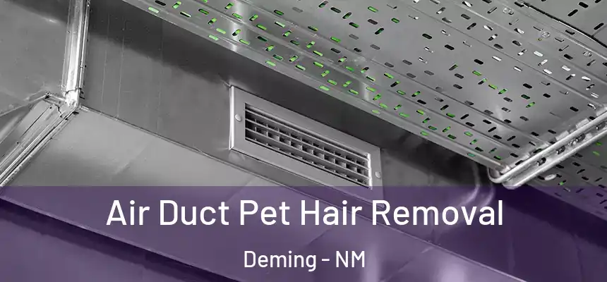  Air Duct Pet Hair Removal Deming - NM