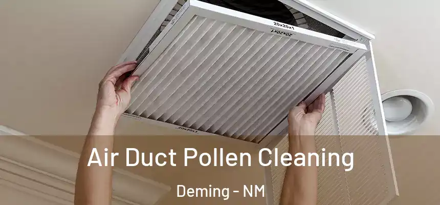Air Duct Pollen Cleaning Deming - NM
