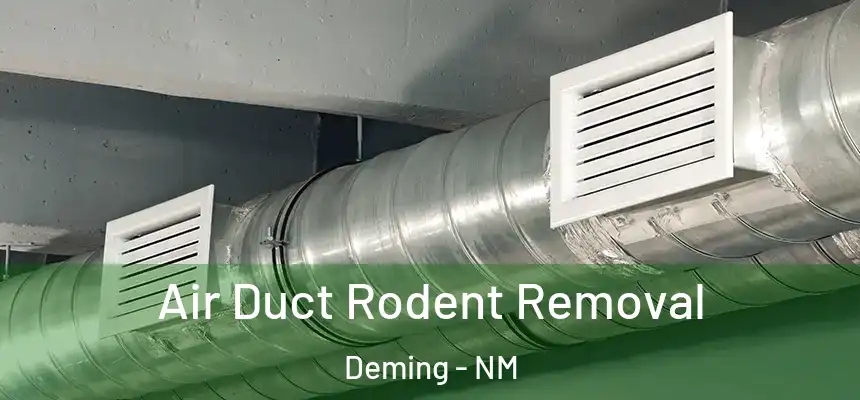  Air Duct Rodent Removal Deming - NM