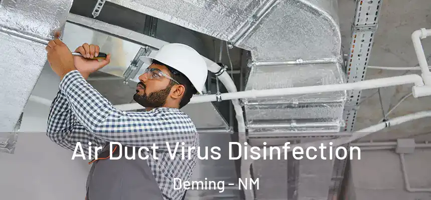 Air Duct Virus Disinfection Deming - NM
