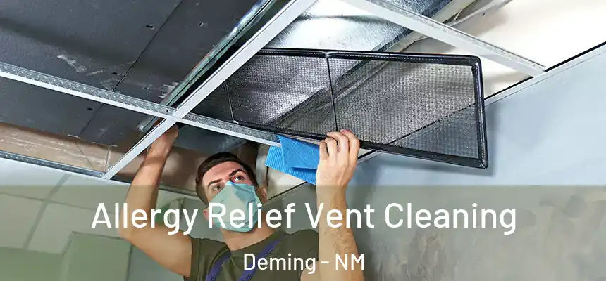 Allergy Relief Vent Cleaning Deming - NM