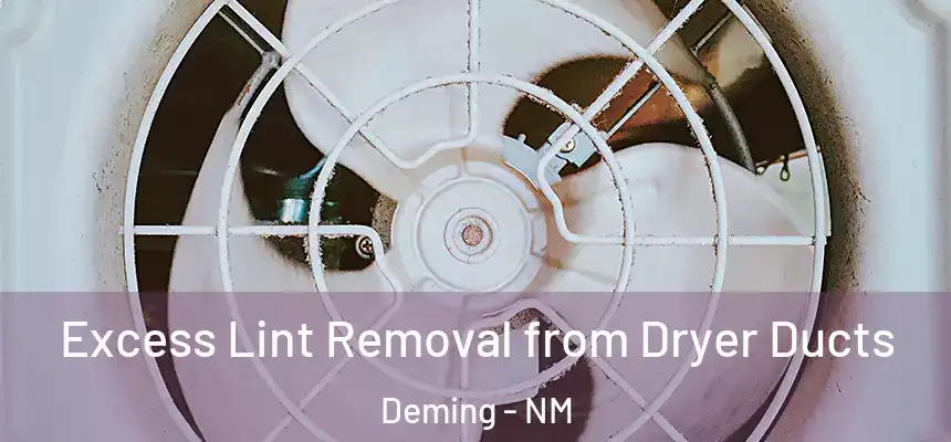  Excess Lint Removal from Dryer Ducts Deming - NM