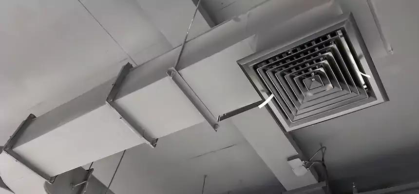 Restorative Allergy Relief Vent Cleaning – Coil, Blower & Housing Detail in Deming