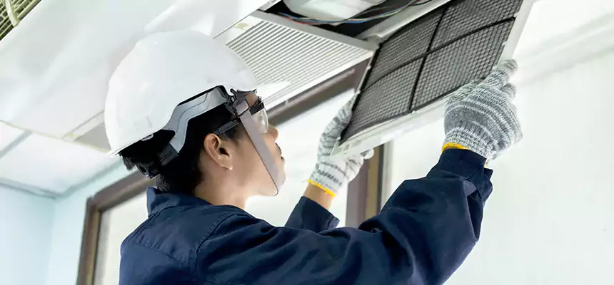 Our Mold & Mildew Removal from Air Ducts Services in Deming, NM