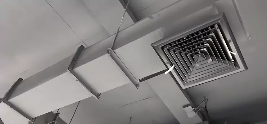 Our Pest Removal From Ducts Services in Deming, NM