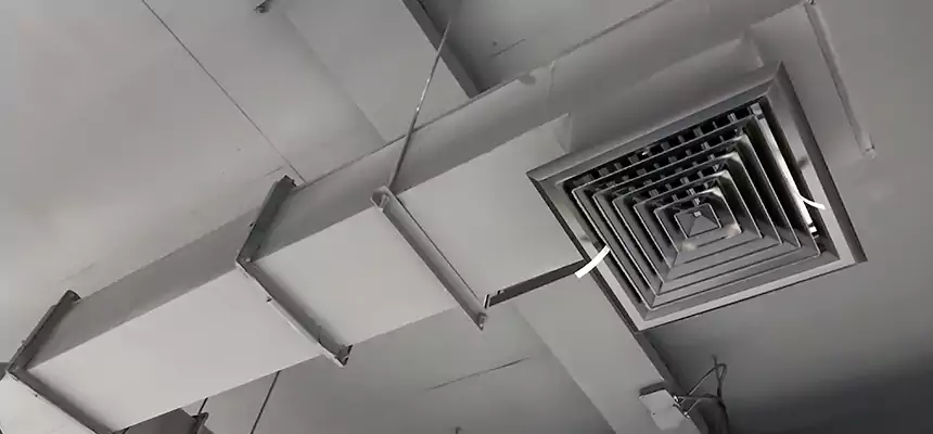 Our Rodent Droppings In Vents Services in Deming, NM