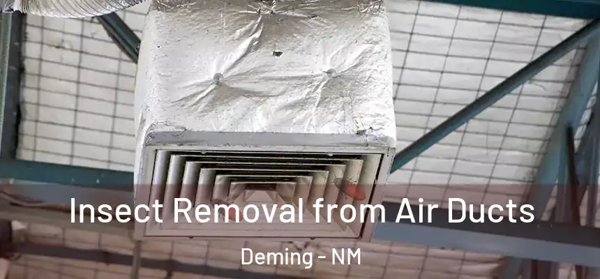  Insect Removal from Air Ducts Deming - NM