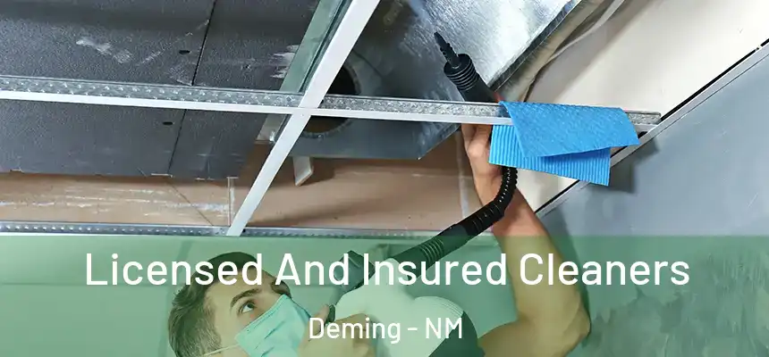  Licensed And Insured Cleaners Deming - NM