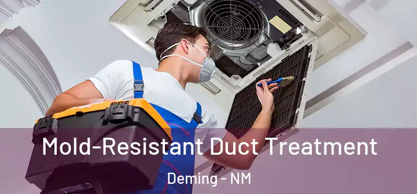 Mold-Resistant Duct Treatment Deming - NM