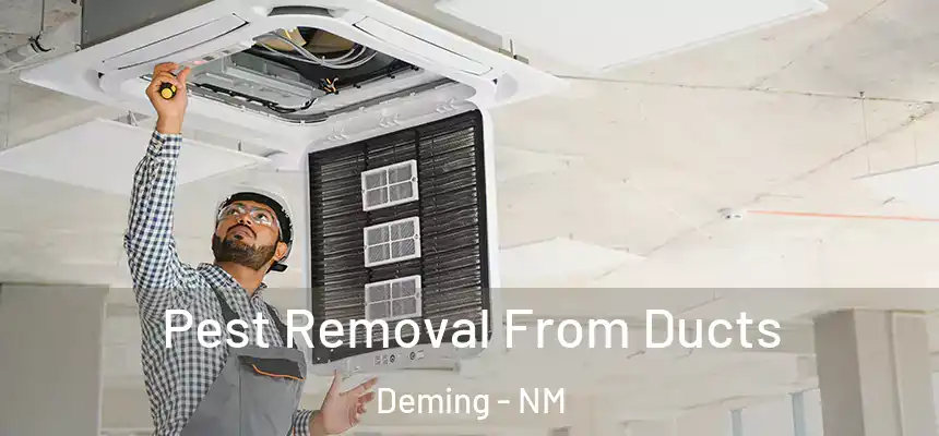 Pest Removal From Ducts Deming - NM
