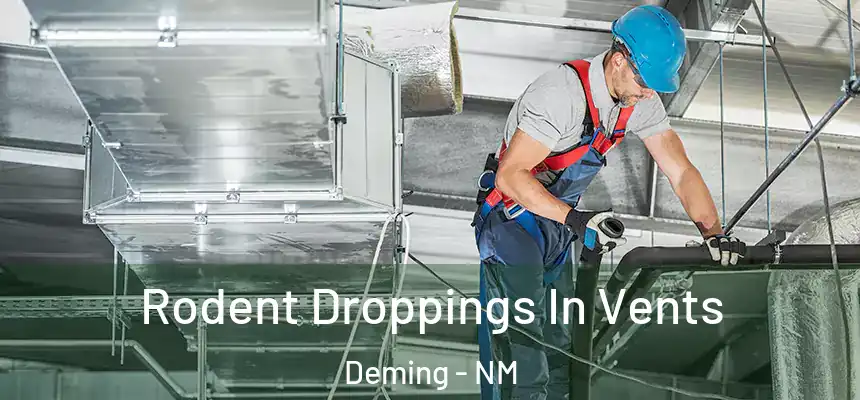 Rodent Droppings In Vents Deming - NM
