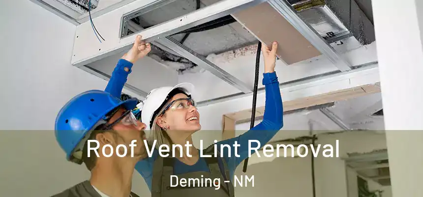  Roof Vent Lint Removal Deming - NM