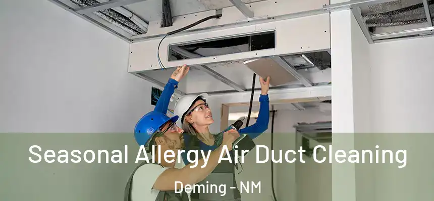  Seasonal Allergy Air Duct Cleaning Deming - NM