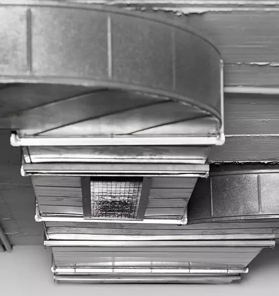 Professional Air Duct Pest Removal in Deming, NM