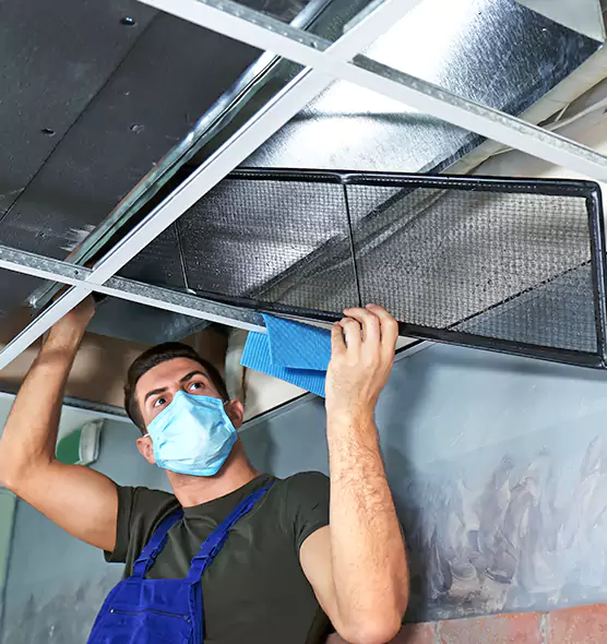 Professional Air Duct Pollen Cleaning in Deming, NM