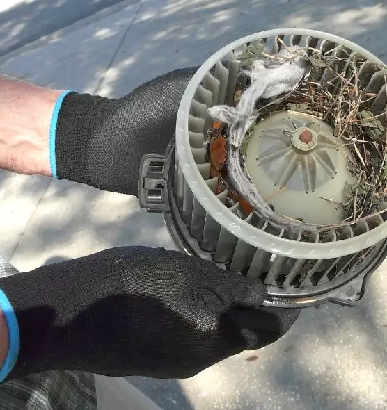 About Air Duct Rat Removal in Deming, NM