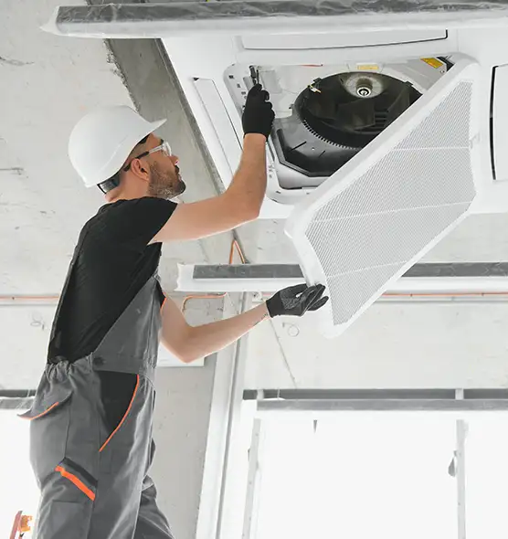 About Air Duct Rodent Removal in Deming, NM