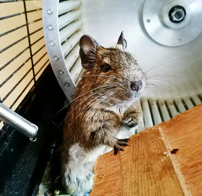 Why Homeowners & Businesses Trust Us Deming, NM