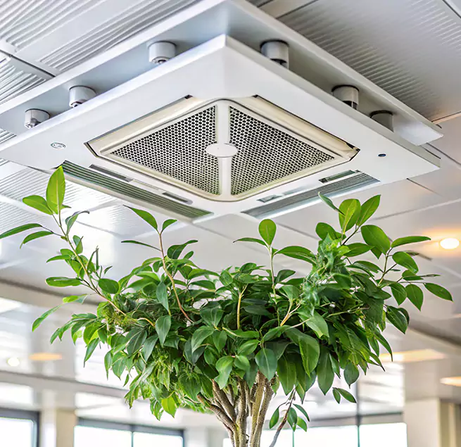 Why Homeowners & Businesses Trust Us in Deming, NM?