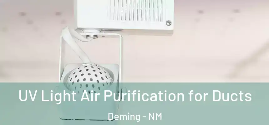  UV Light Air Purification for Ducts Deming - NM
